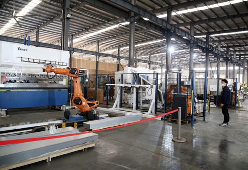 河南西平 智能驅動，加速畜牧設備產業轉型升級